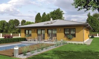 House with shed roof and skylights to illuminate the living room.